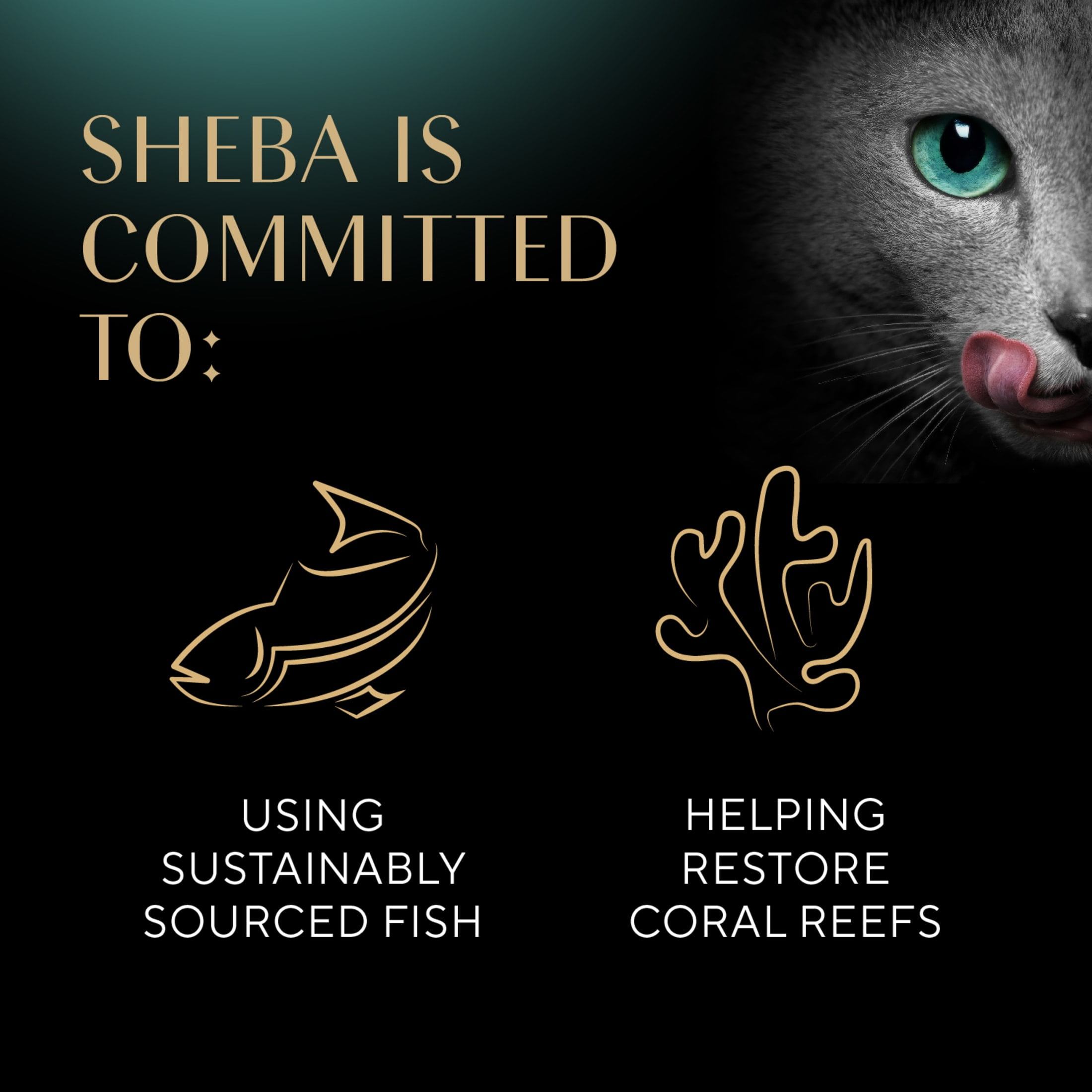Sheba Perfect Portions Cuts In Gravy Variety Pack Wet Cat Food, 2.6 Oz Twin-Pack Trays (18 Count)
