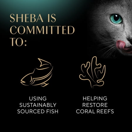 SHEBA PERFECT PORTIONS CUTS IN GRAVY VARIETY PACK WET CAT FOOD, 2.6 OZ TWIN-PACK TRAYS (18 COUNT)