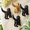 Labrador 3 Hooks, variant on Beagle 4 Hooks Cast Iron Heavy Duty Coat & Key Wall Hooks