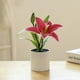 thumbnail image 5 of Gwong Decoración hogareña Fallo de flores falsas simuladas con facilidad de fácil cuidado de plástico Lily Bonsai decoración artificial de la planta para el hogar Gwong 21083261, 5 of 6