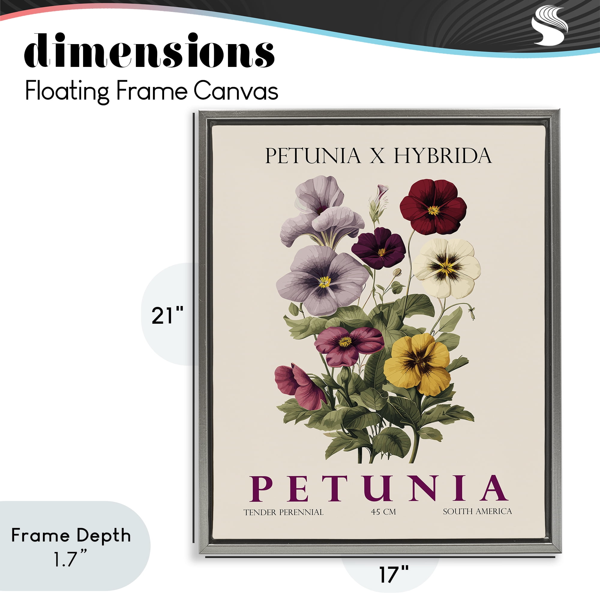 Stupell Industries Natural Petunia Bundle Gray Framed Floater Canvas Wall Art, design by Christopher Giampietro