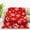 4#, variant on Strawberry Throw Blanket Soft Flannel Plush for Women Girls Cute Cozy Decorative Bed Couch Sofa Bedroom Living Room Travel Camping Gifts Birthday Christmas