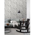thumbnail image 6 of ESTA Home Merman Light Grey Birch Tree Wallpaper, 20.5-in by 33-ft, 6 of 8