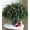 12 Pcs Cedar Stems, 5 Pcs Big Pinecones Stems, variant on Faux Cedar Stems Artificial Norfolk Pine Branches for Christmas Decorations, 17 PCS Faux Pine Stems with Pinecones Red Berries Branches Realistic Faux Greenery for Vases DIY Garland Xmas Table Indoor