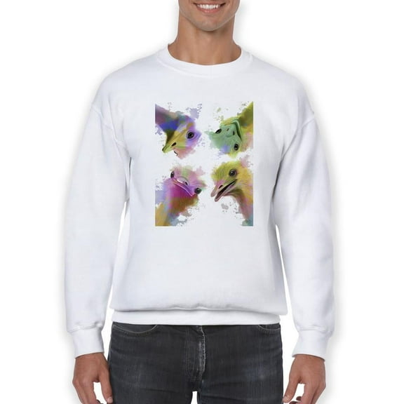 Rainbow Splash Ostriches Sweatshirt Men -Fab Funky Designs, Male XX-Large