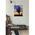 thumbnail image 3 of Epic Graffiti 'American Cowgirl' by Chris Vest, Canvas Wall Art, 12"x16", 3 of 3