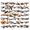4A, variant on cartoon Airplane Theme Stickers, Waterproof Airplane Theme Sticker for Water Bottle Laptop Phone Cases Planner Skateboard Luggage Helmet Party Favor Decor, Ideal for Adults Teens Teacher Rewards