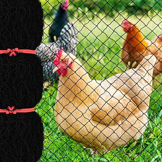 Queto 3x5ft Bird Netting With 1 Square Mesh, Reusable Garden Netting For Chicken Coop, Deer Fence Nylon Poultry Netting To Protect Vegetable Fruit Tr