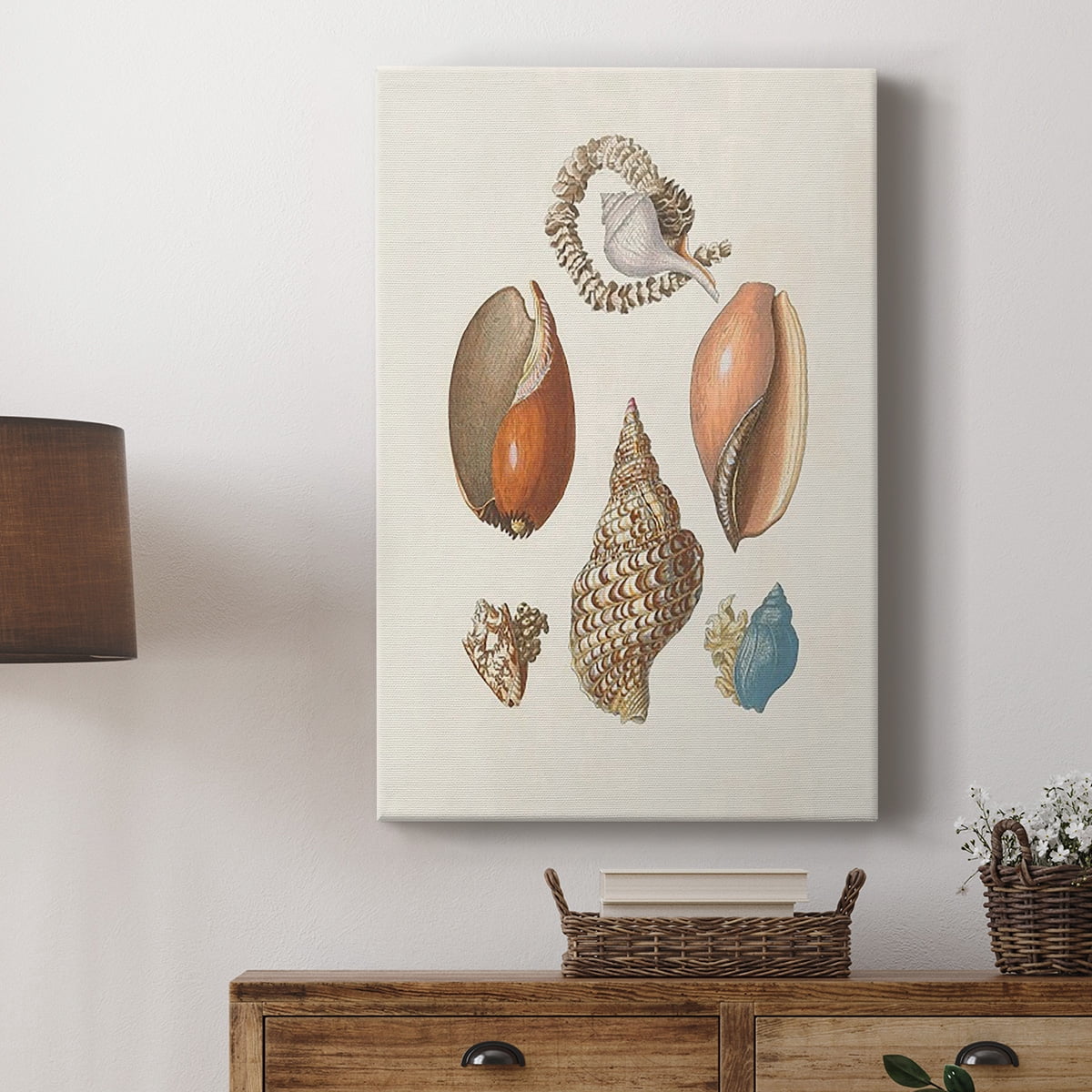 Knorr Shells & Coral I Premium Gallery Wrapped Canvas - Ready to Hang