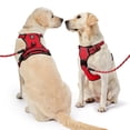 thumbnail image 2 of Arnés para perros NESTROAD, chaleco Oxford ajustable sin tirones, rojo XL, 2 of 8