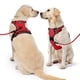 thumbnail image 2 of Arnés para perros NESTROAD, chaleco Oxford ajustable sin tirones, rojo XL, 2 of 8