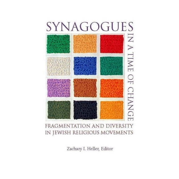 Synagogues in a Time of Change: Fragmentation and Diversity in Jewish Religious Movements, (Paperback)
