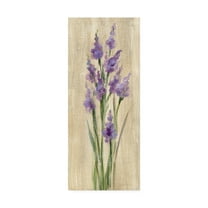 Trademark Fine Art 'Farm Flower II' Canvas Art by Silvia Vassileva