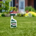 thumbnail image 2 of Scotts Liquid Turf Builder Fertilizer 29-0-3 946ML/185m2, 2 of 5