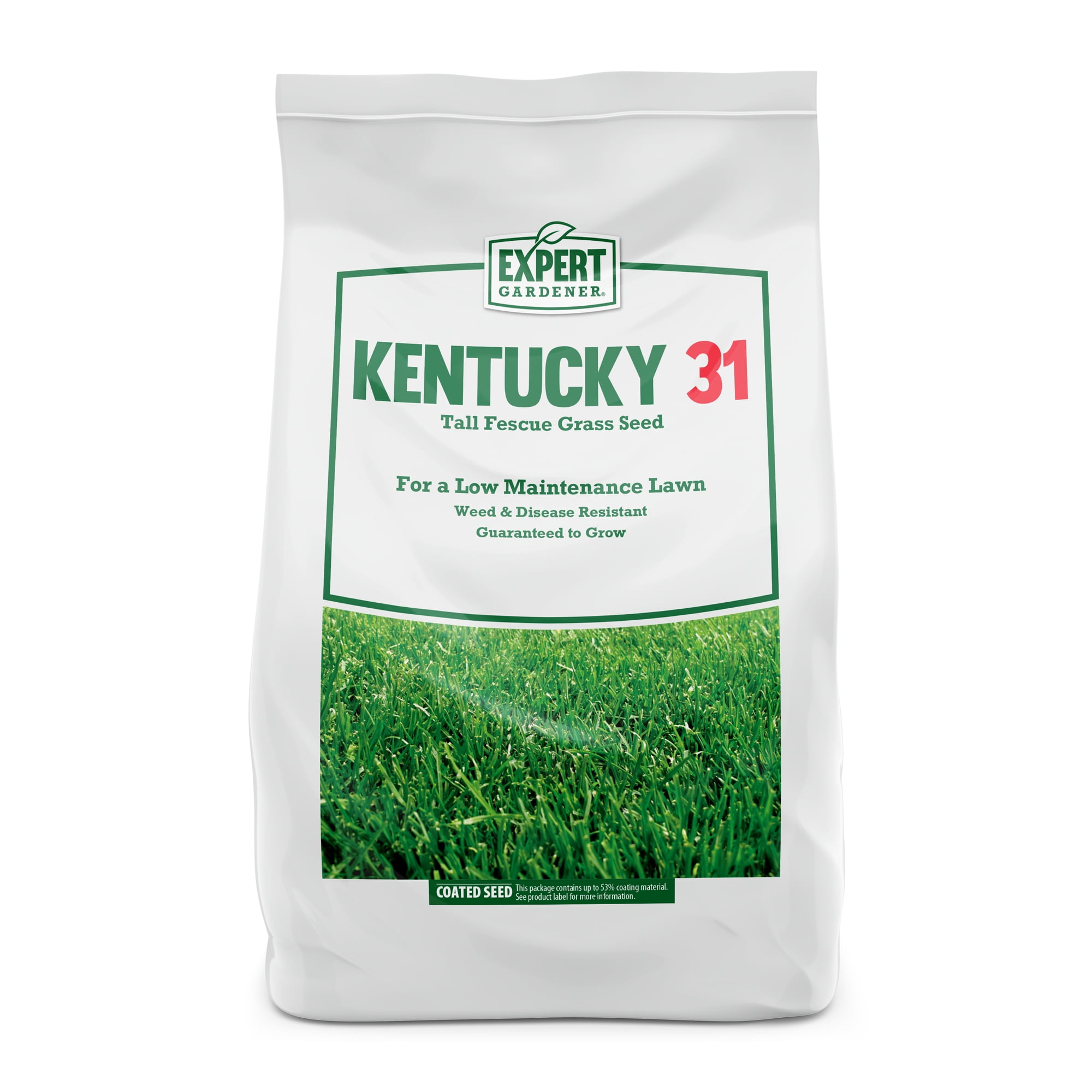 Expert Gardener Kentucky 31 Tall Fescue Grass Seed; 20 Pounds