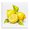 Fresh Lemon Still Life, variant on Stupell Industries Farmhouse Lemon Delights Fruit Black Floating Frame Canvas Art, 18 x 18, by Andrea Haase