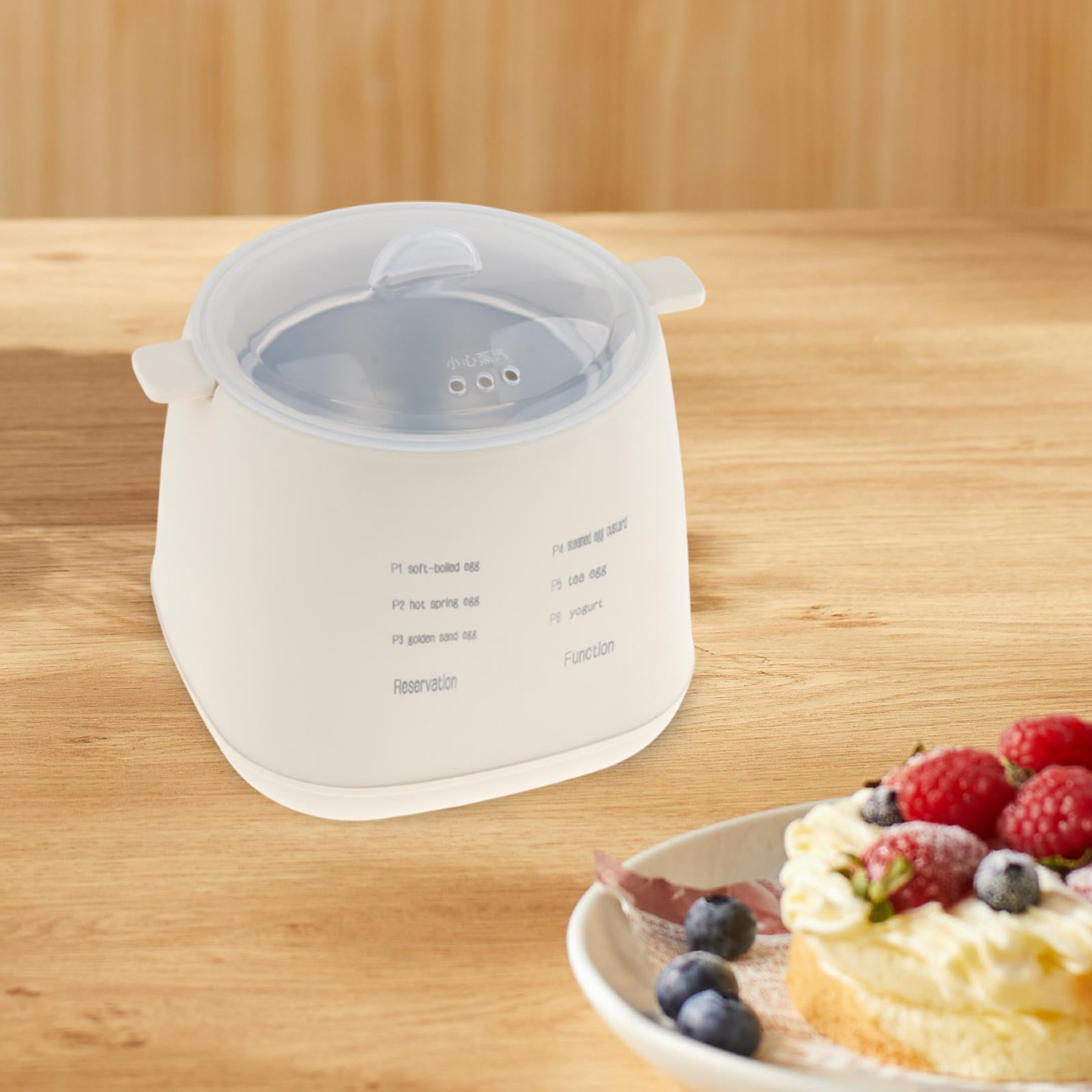 Fiocias Fast Egg Cooker Kitchen Utensil Smart Transparent Window Auto Shut Off Easy to rack with bowl
