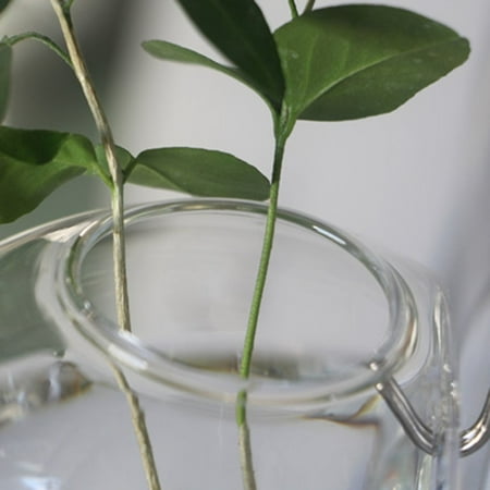 Wall Hanging Hydroponic Glass Vase Transparent Fish Tank Green