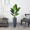thumbnail image 2 of Nearly Natural 5686 5.5 ft. Traveler Palm Artificial Tree in Gray Planter, 2 of 3
