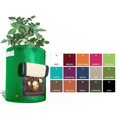 thumbnail image 1 of BloemBagz Potato Planter Grow Bag, 9 Gallon, Amaranth, 1 of 1