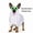 B, variant on Halloween Decorations Saving! Halloween Pet Ghost Costume Set, Glow Green Eye Ring Pet Ghost Cape, Outfit for Small Medium Dogs Cats Holiday Trick-or-Treat Party Photo Cosplay Prop