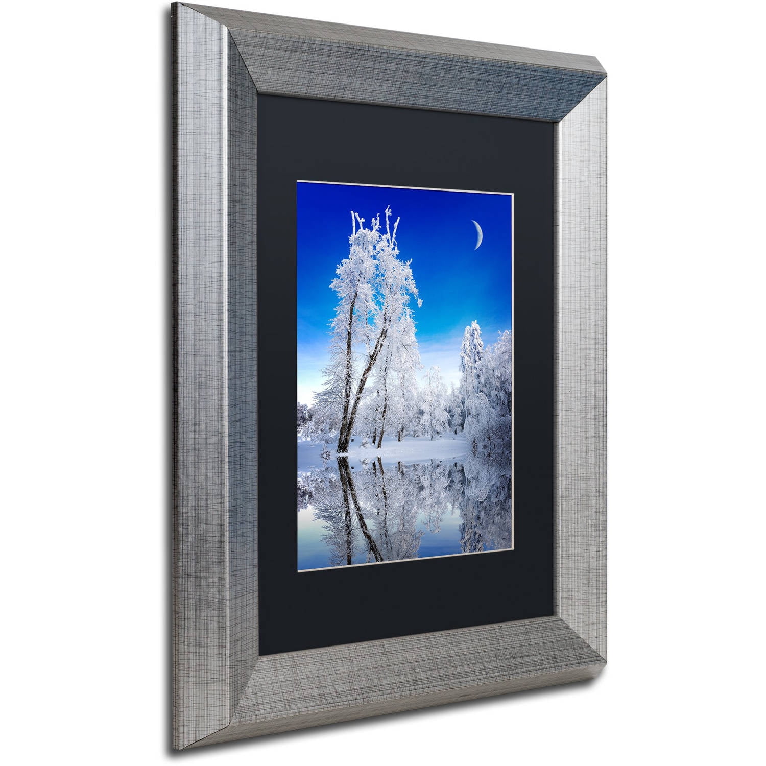 Trademark Fine Art "Emotive Ballad Canvas Art" Canvas Art by Philippe Sainte-Laudy, Black Matte, Silver Frame