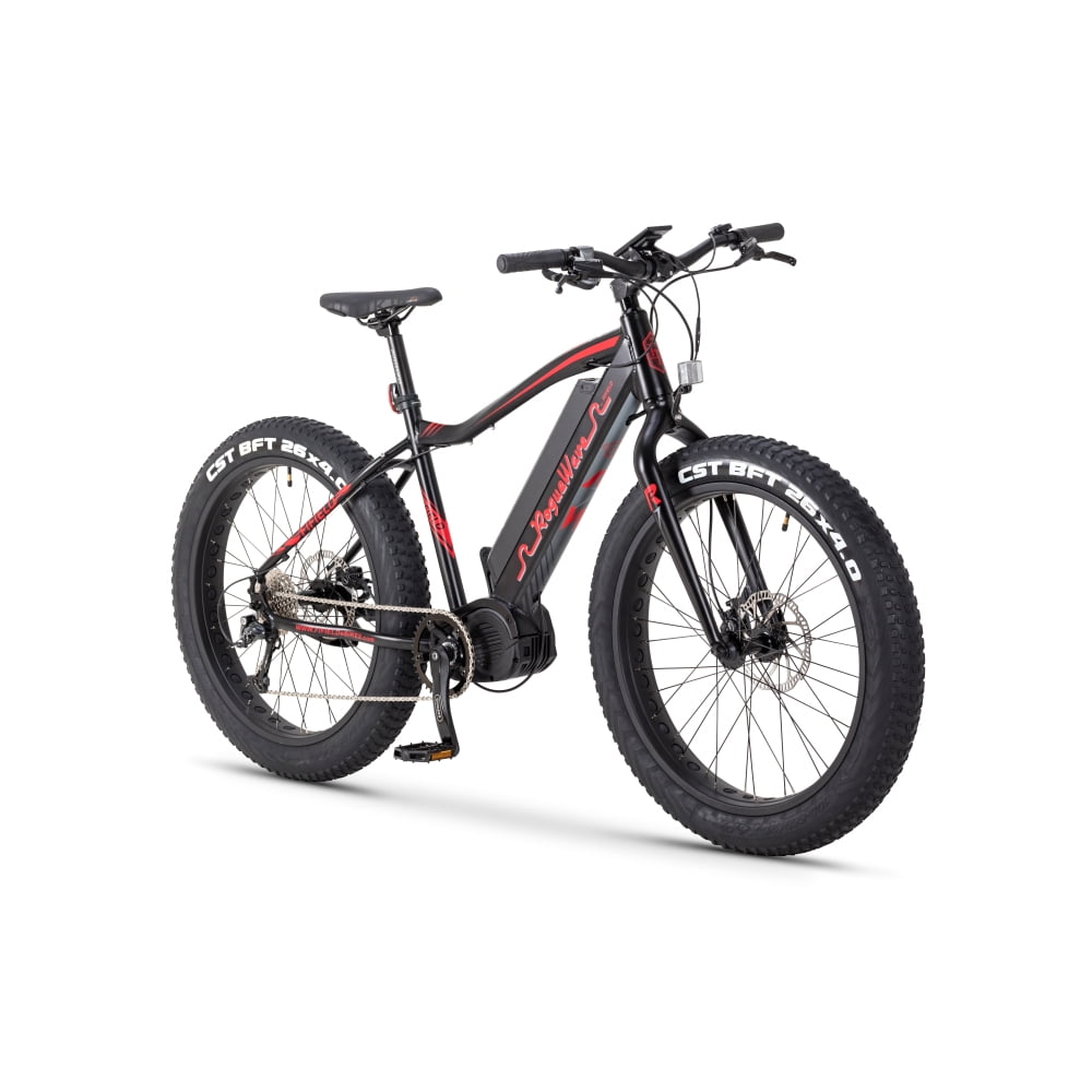 Rogue Wave Mountain Ebike 750W Electric Bike 4 Inch Fat Tire 20MPH 48V 14.5Ah Aluminum Frame Electric Mountain Bike for All Terrain Black
