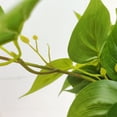 thumbnail image 3 of Naiovety Plantas artificiales verdes elegantes para darle un toque de sofisticación a cualquier entorno Plantas artificiales de interior Decoración, 3 of 6