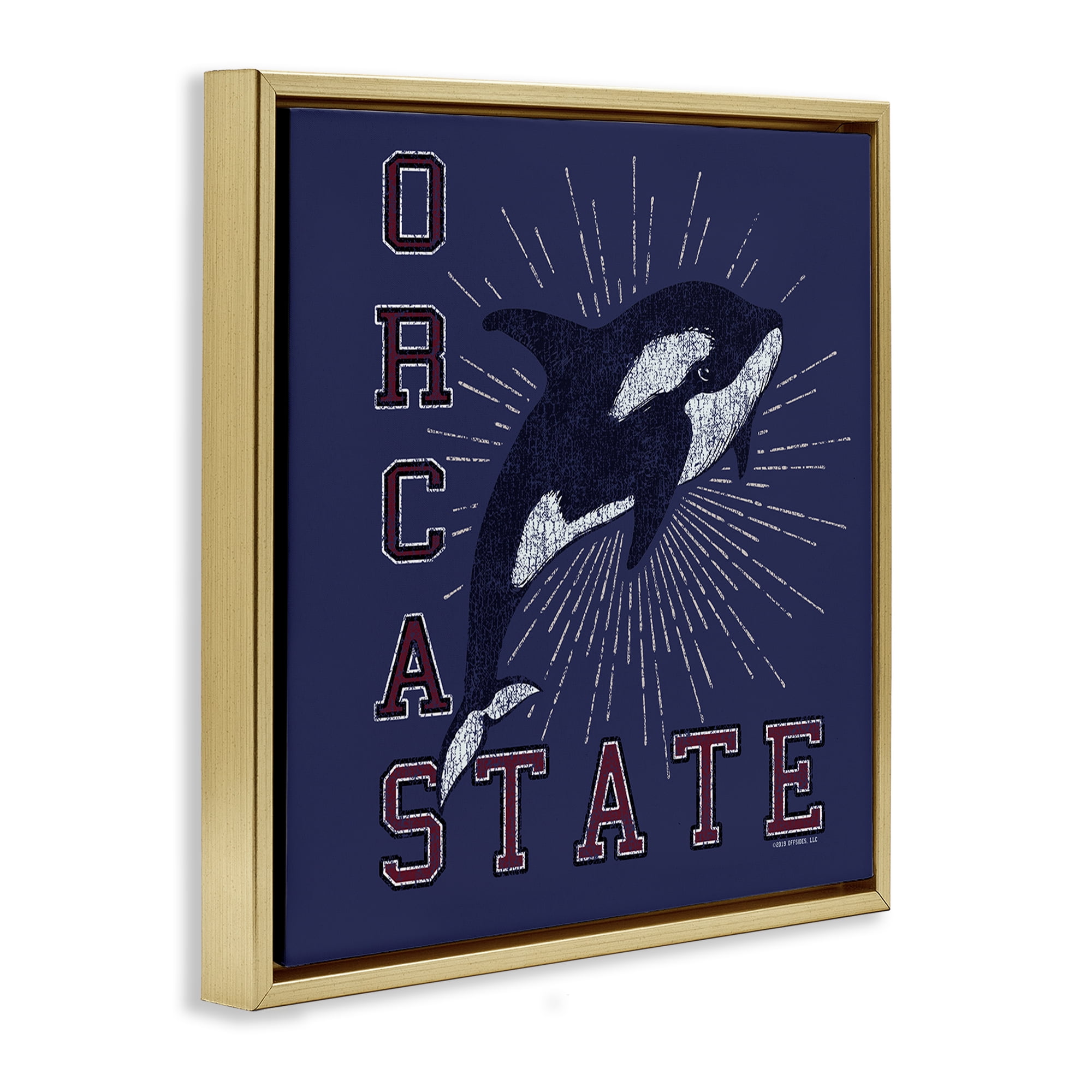 Stupell Industries Orca State Varsity Animals Painting Gold Floater Framed Canvas Art Print Wall Art, 25 x 25