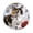 ZZNZ06100003, variant on Zhmjortal Cat Pattern Round Wall Clock Silent Non Ticking Battery Operated Clock 10 Inch, Kitchen,Home,Bathroom,Bedroom,Office or School