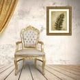 thumbnail image 3 of Pinto, Patricia 15x18 Gold Ornate Wood Framed with Double Matting Museum Art Print Titled - Ferns II, 3 of 4