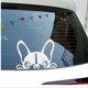 thumbnail image 2 of Car Sticker - French Bulldog - Note Stickers - Dog, Dog Sticker, 2 of 3