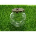 thumbnail image 3 of U8MO 5 Set Glass Bottle Pendant 20mm 25mm 30mm 35mm with Bronze Base Memory-30mm-5Pcs, 3 of 7