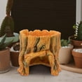 thumbnail image 4 of YSNOOWE De Resina Natural Para Reptiles Con Para Acuario, 4 of 6