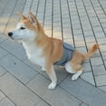 thumbnail image 4 of Male Dog Diapers, High Absorbing Dog Belly Bands for Male Dogs, Washable Reusable Dog Males Wraps, 4 of 8