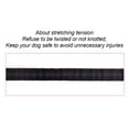 thumbnail image 2 of One Tow Two Leash 2 Dog Rope Elastic Cushion Dog Leash Dog Walking Leash Dog Belt Double, 2 of 7
