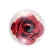 thumbnail image 4 of Muyoka Austok Rose Gift, Beauty and The Beast Rose, Kit de rosas, Rose de seda roja y luz LED con pétalos caídos en cúpula de vidrio sobre base de madera Día de San Valentín Aniversario Cumpleaños Muyoka Hogar, 4 of 5