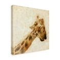 thumbnail image 2 of Trademark Fine Art 'Inspektor II' Canvas Art by Ryan Hartson-Weddle, 2 of 4