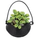 thumbnail image 1 of Accesorio de jardín de muñecas, 1:12 Miniatura Bonsai Jardín Casa de Muñecas Planta Decoración de Casa de Muñecas Integración Perfecta, 1 of 8