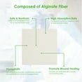 thumbnail image 3 of 1PC Alginate Wound Dressing High Absorbency Bedsore Patch Pressure Ulcer Treatments Body Surface Application, 3 of 6