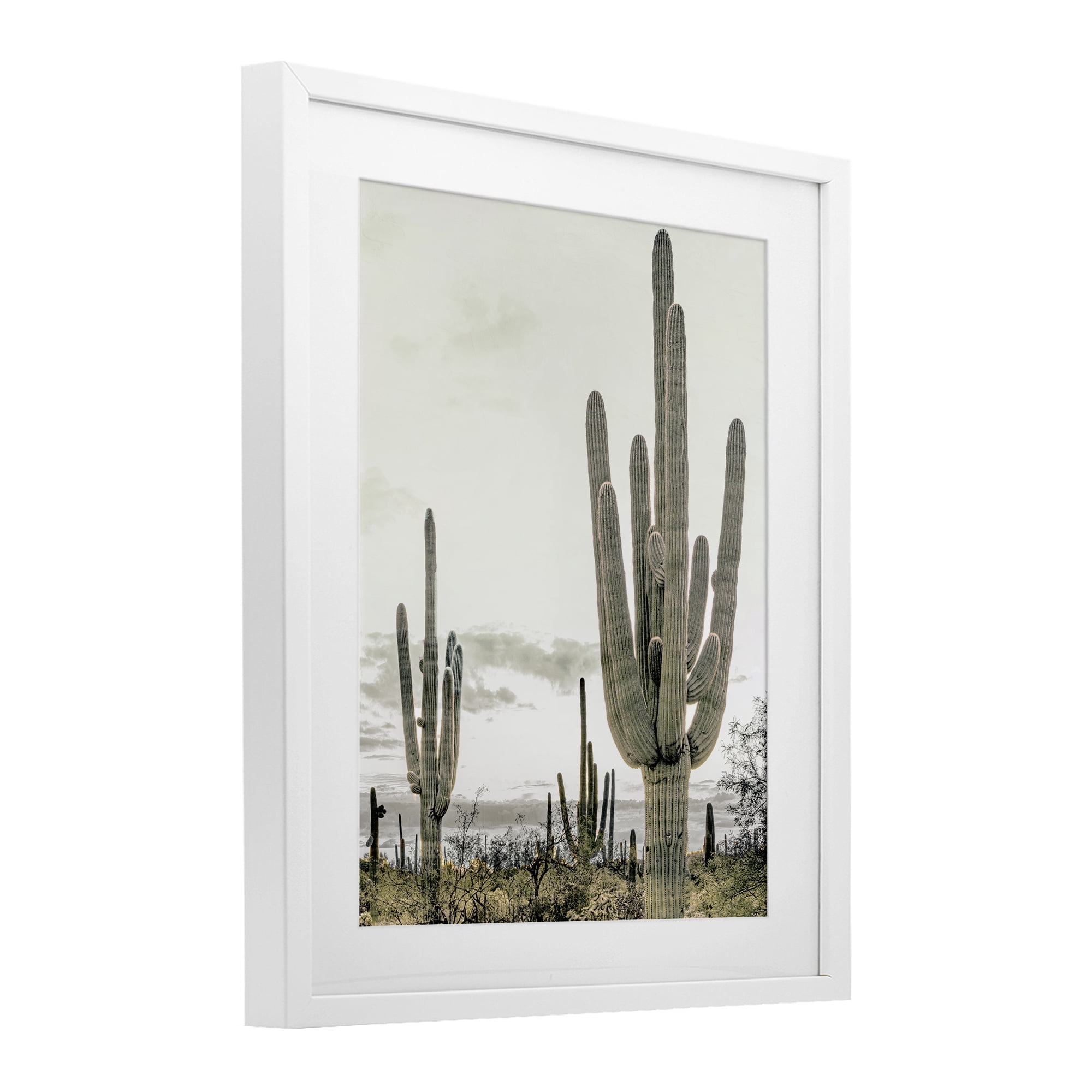 Stupell Industries Subdued Desert Cacti White Framed Print Under Glass, design by Kim Allen