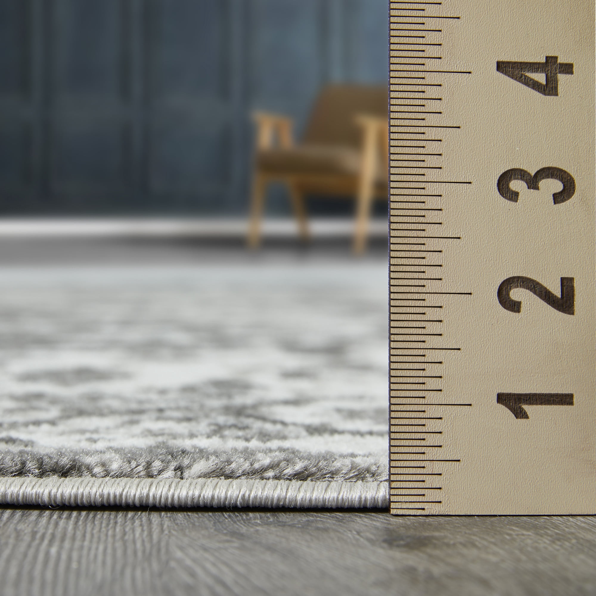 Loomaknoti Rhane Adleigh 4' x 6' Gray Oriental Indoor Area Rug