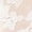 Mixed colors-a, variant on 12 Pairs Lace Socks Women Sheer Ankle Socks Transparent Floral Mesh Thin Summer Fishnet Socks for Women