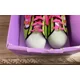 thumbnail image 5 of Adi-das Originals Superstar Simpsons Squishe Mens Shoe Sizes 18 Dead Stock, 5 of 6