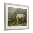 thumbnail image 2 of Stupell Industries Rustic Lodge Grey Horse And Ducks In Landscape Birch Framed Print Under Glass, 20 x 14, by Tina LeCour, 2 of 8