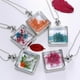 thumbnail image 5 of Flores secas prensadas Strade Fareast Limited 6x10 piezas, 5 of 5