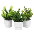thumbnail image 1 of OULII 3Ud Bonsái Artificial Pequeño Maceta Ideal Para Interior Estilo Granja, 1 of 6