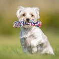 thumbnail image 3 of CSChome Pet Toy For Dogs Interactive Dogs Toy Bite-resistant Rope Dog Training Toy Pet Supplies, 3 of 7
