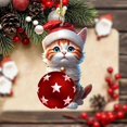 thumbnail image 2 of Christmas Advent Calendar 2024 Cat Christmas Holiday Advent Calendar 24 Days Christmas Advent Calendar, 2 of 5