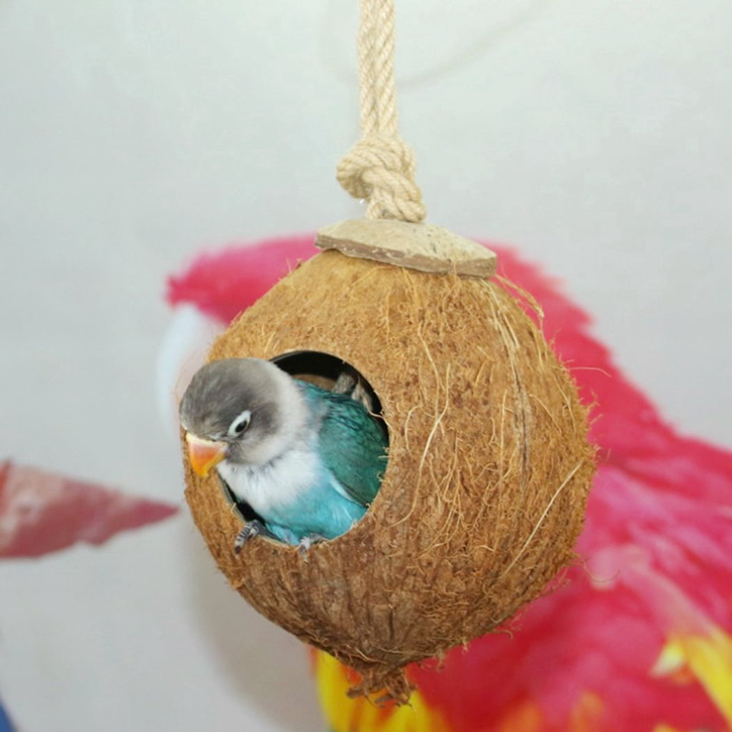 coconut bird toy